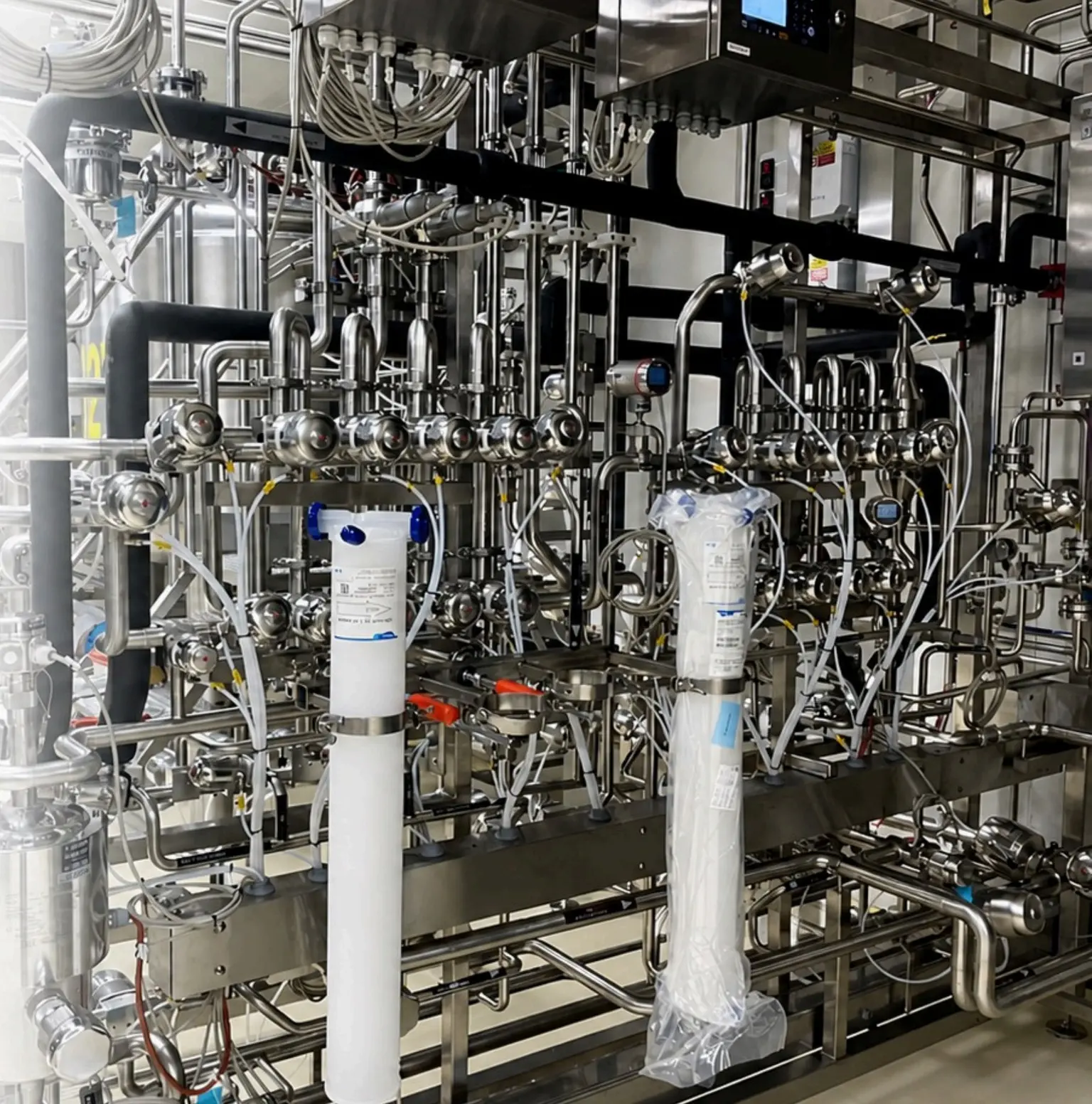 Stainless steel process skid with pumps and instrumentation